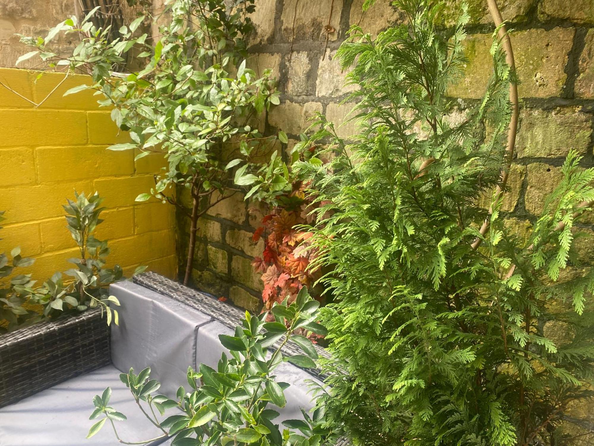 Central Georgian garden apartment Bath Buitenkant foto